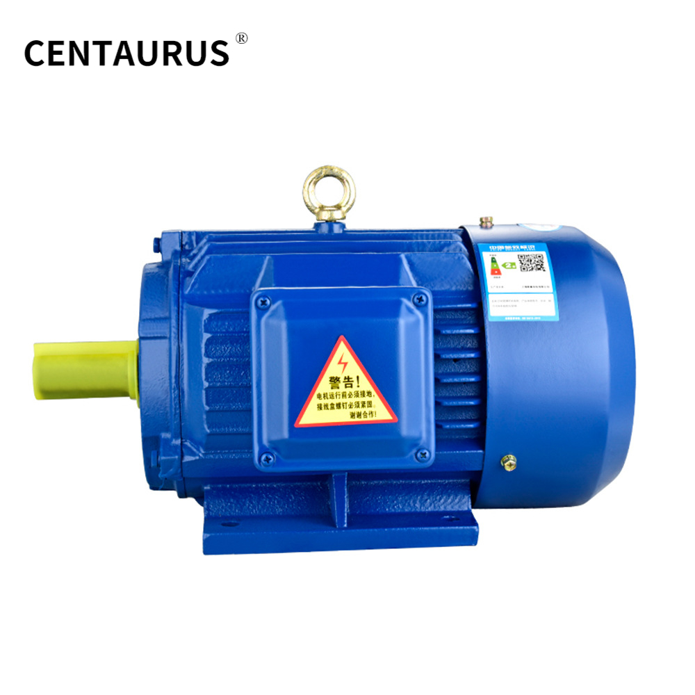 YE2 VERTICAL MOTOR